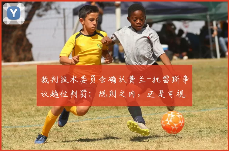 裁判技术委员会确认费兰-托雷斯争议越位判罚：规则之内，还是可视化的失信？