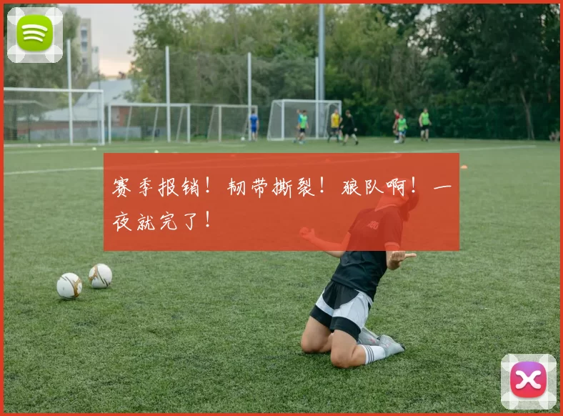 赛季报销！韧带撕裂！狼队啊！一夜就完了！