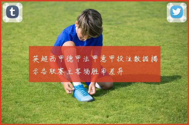 英超西甲德甲法甲意甲投注数据揭示各联赛主客场胜率差异
