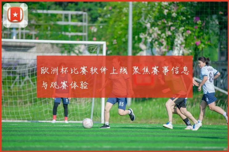 欧洲杯比赛软件上线 聚焦赛事信息与观赛体验