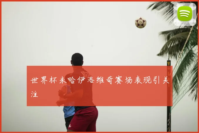 世界杯米哈伊洛维奇赛场表现引关注
