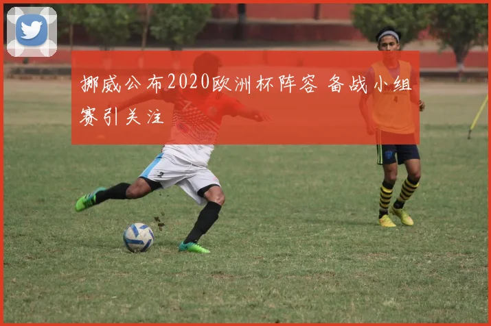 挪威公布2020欧洲杯阵容 备战小组赛引关注