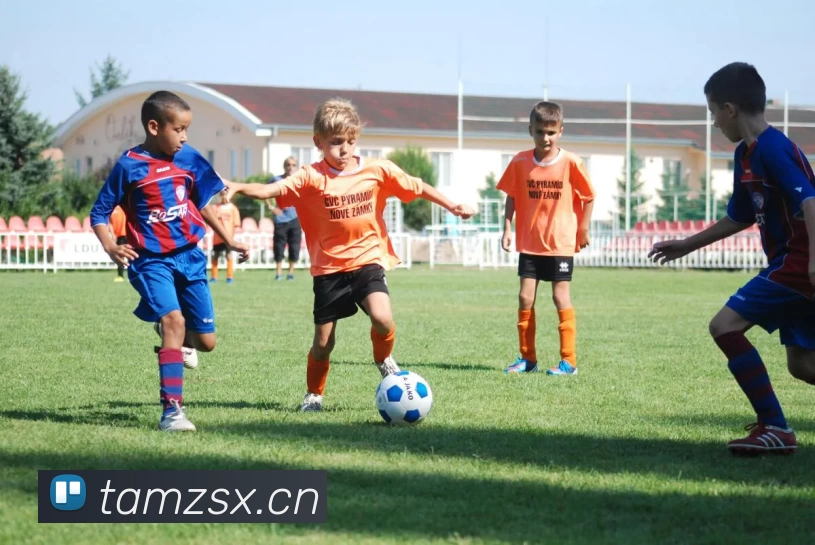 开云(中国)Kaiyun·官方网站 - 登录入口发展历程