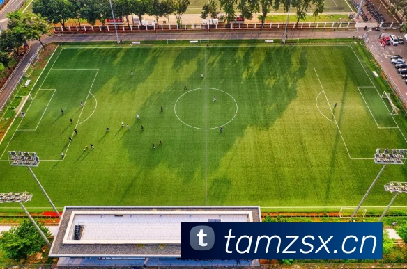 开云app登录入口 - 开云(中国)平台生态图